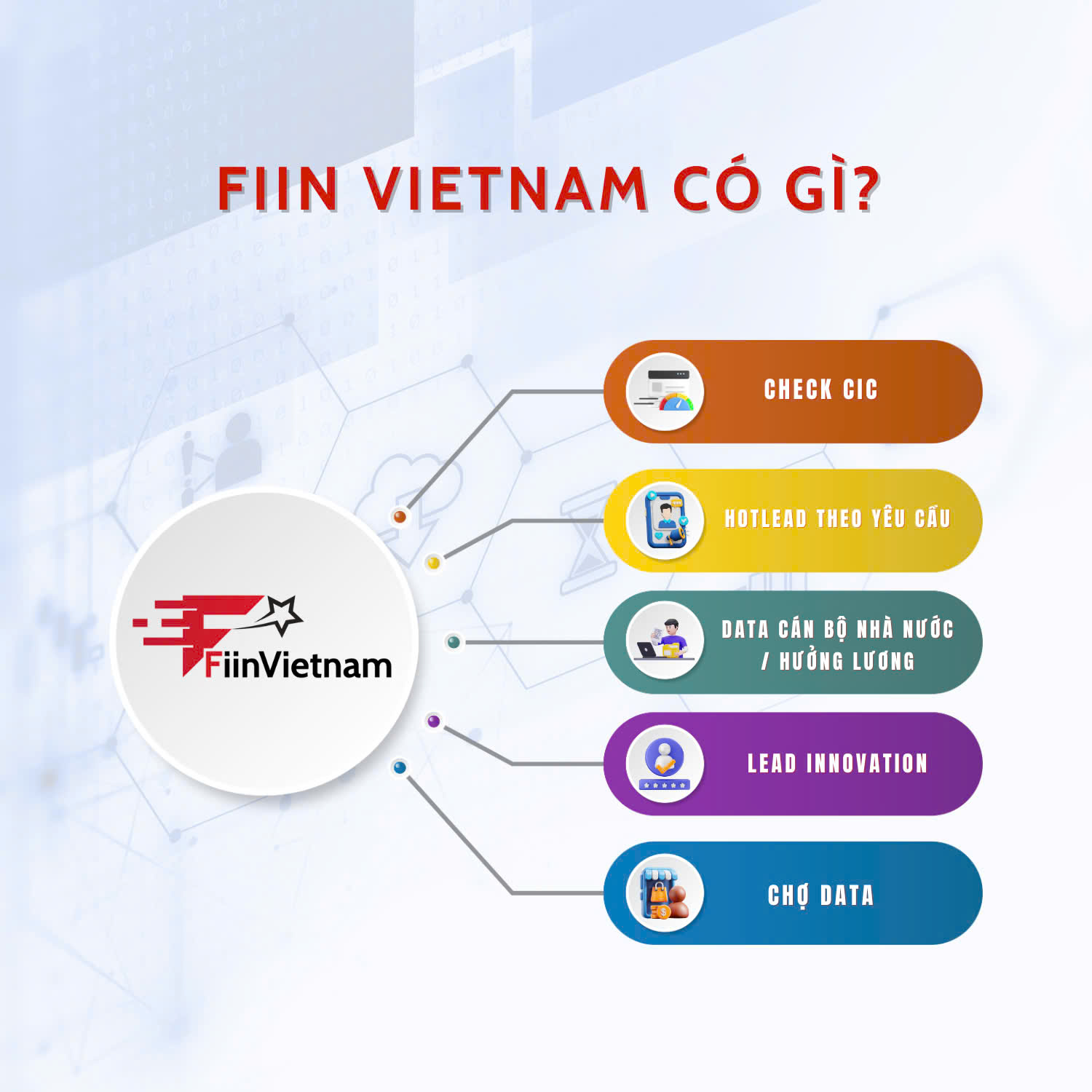 dich vu fiinvietnam